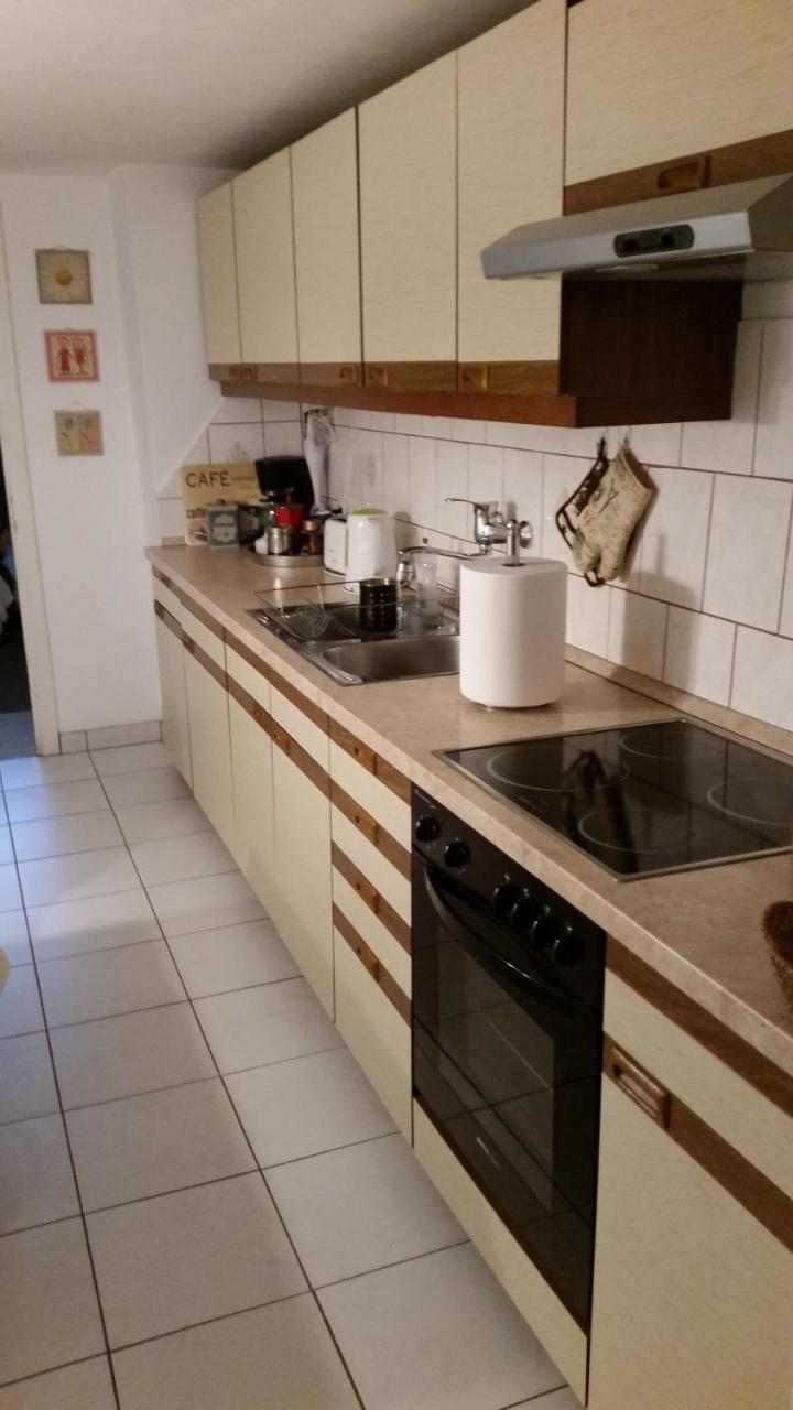 Apartment Drava Maribor Dış mekan fotoğraf